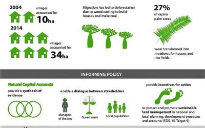 Natural Capital Accounting in Madagascar