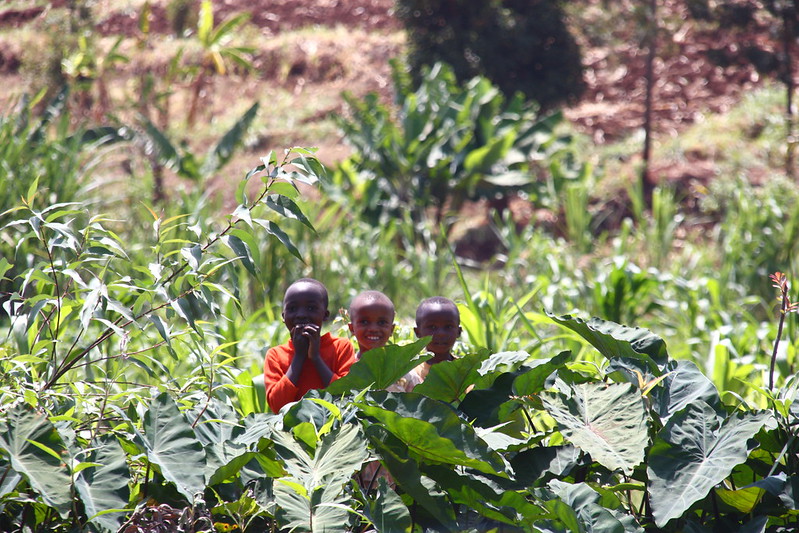 L’Afrique, au-delà de la COVID-19